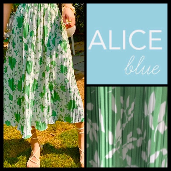 NWOT Alice Blue Pleated Midi Skirt - Picture 1 of 6